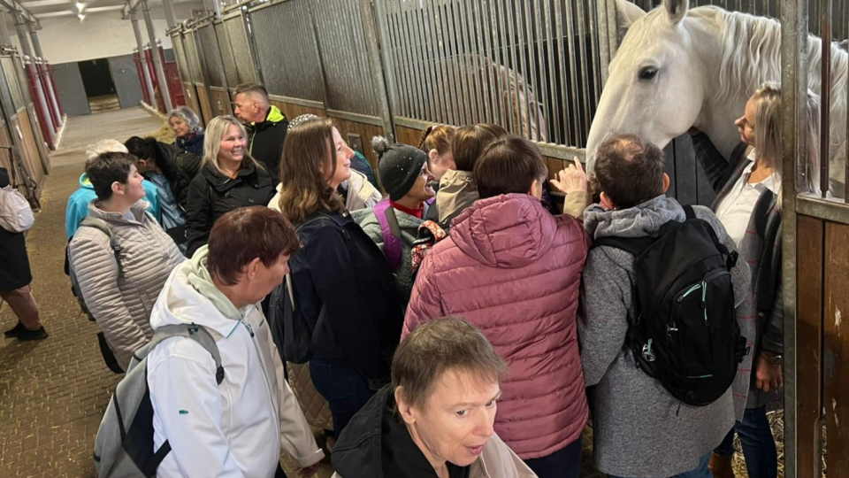 Fotka k článku  Zemský hřebčinec 