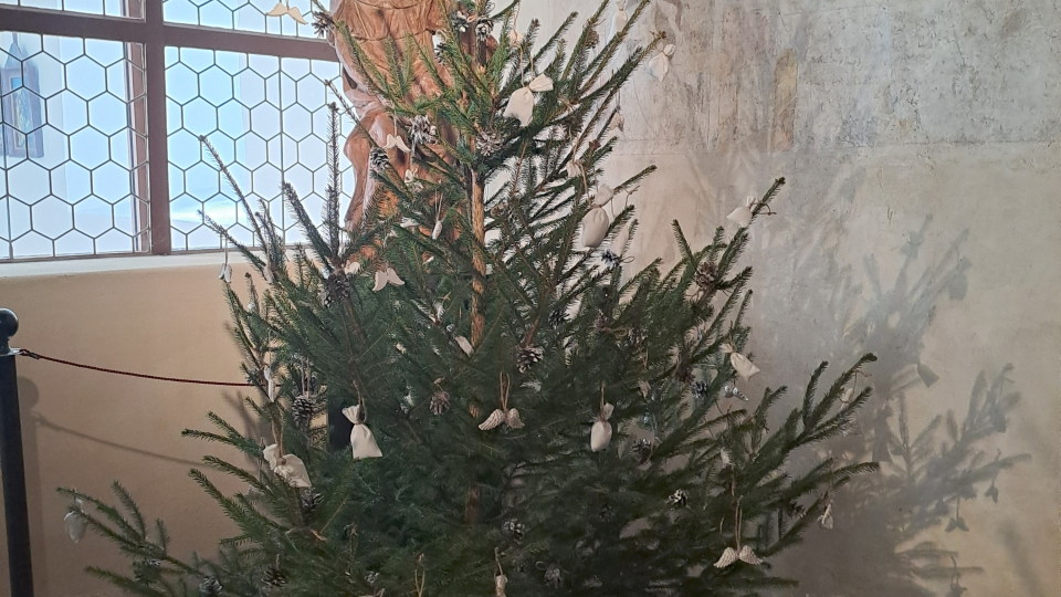 Fotka k článku Zdobení vánočního stromečku