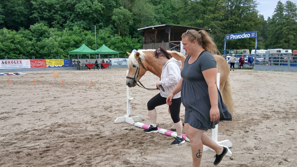 Fotka k článku Plzeňská ponyáda