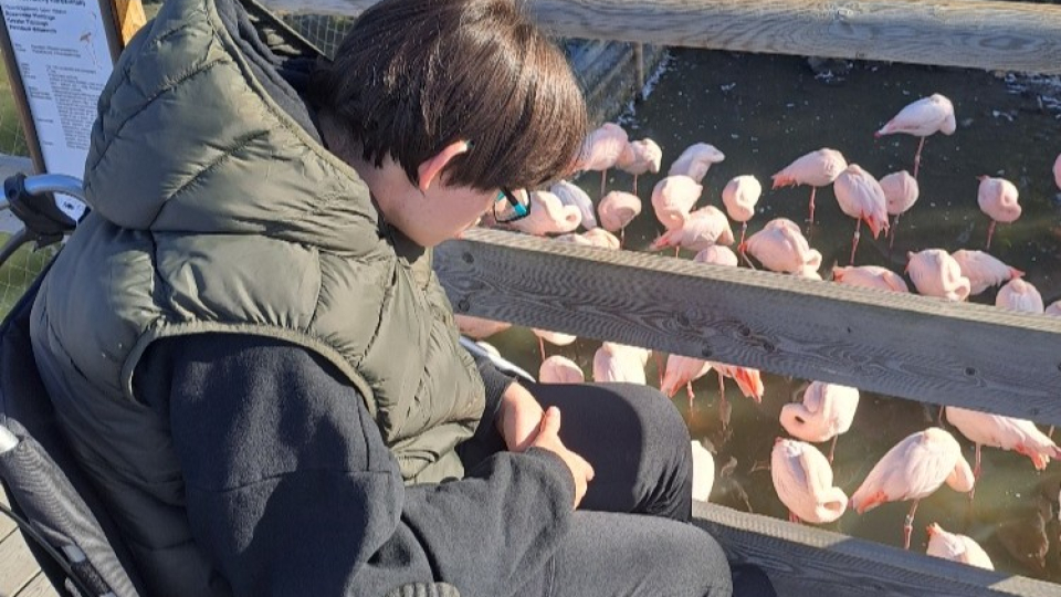 Fotka k článku  ZOO Hluboká nad Vltavou 